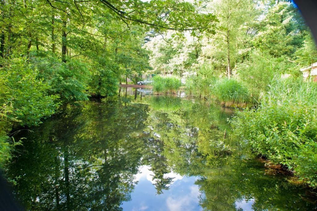 Vakantiepark De Berkenhorst Kootwijk Bagian luar foto